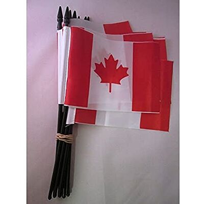 AZ FLAG Stockflagge Kanada 15x10 cm Leichtes Polyester Plastikstab Für innen und außen Kanadische Handflagge Canada genähte Kanten und verstärkte Ausführung mit Kunststoffstab AZ FLAG Stockflagge Kanada 15x10 cm Leichtes Polyester Plastikstab Für innen und außen Kanadische Handflagge Canada genähte Kanten und verstärkte Ausführung mit Kunststoffstab