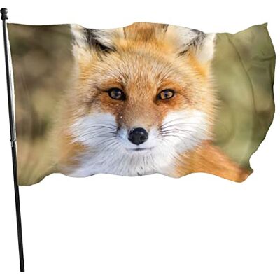 Generic Tierischer Fuchs 150x90cm Outdoor Windward Fahne Lebendiges Farbbanner Gartenflagge Dekorative Flagge Polyester Yard Fahne Lustige Große Flagge für Terrasse Rasen Home Decor Generic Tierischer Fuchs 150x90cm Outdoor Windward Fahne Lebendiges Farbbanner Gartenflagge Dekorative Flagge Polyester Yard Fahne Lustige Große Flagge für Terrasse Rasen Home Decor