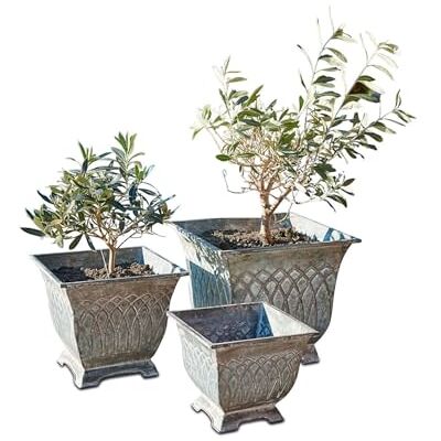 Loberon Übertopf 3er Set Klaireau, leicht und robust, authentische Antik-Design, rundum zierende Muster, Indoor & Outdoor geeignet, Gartendekoration, Pflanzgefäße, Eisen, antikgrau Loberon Übertopf 3er Set Klaireau, leicht und robust, authentische Antik-Design, rundum zierende Muster, Indoor & Outdoor geeignet, Gartendekoration, Pflanzgefäße, Eisen, antikgrau