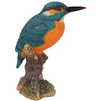 Vivid Arts Eisvogel auf einem Baumstumpf, Wildvogelkollektion von Vivid Arts Eisvogel auf einem Baumstumpf, Wildvogelkollektion von