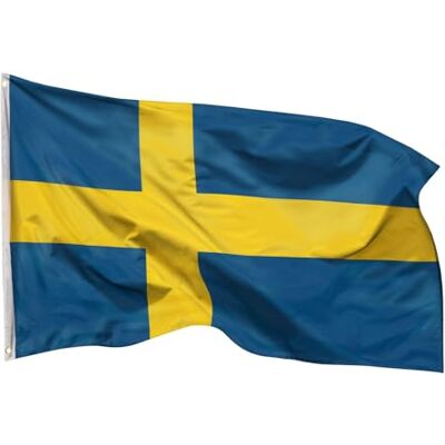 Aricona Schweden Flagge 90x150cm wetterbeständige Fahne mit Messingösen, 100% Polyester, robuste Doppelnaht & in lebendigen Farben ideal für Flaggen-Liebhaber Aricona Schweden Flagge 90x150cm wetterbeständige Fahne mit Messingösen, 100% Polyester, robuste Doppelnaht & in lebendigen Farben ideal für Flaggen-Liebhaber