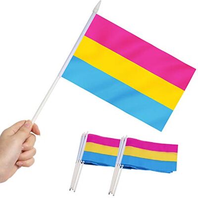 Anley Pansexual Pride Miniaturflagge, 5x8 Zoll Handheld Stick Flagge mit 12" weißem Solid Pole lebendig in Farbe und Fade resistent 5.5 x 8 Zoll Handgehaltene Mini-Flaggen mit Speerspitze Anley Pansexual Pride Miniaturflagge, 5x8 Zoll Handheld Stick Flagge mit 12" weißem Solid Pole lebendig in Farbe und Fade resistent 5.5 x 8 Zoll Handgehaltene Mini-Flaggen mit Speerspitze