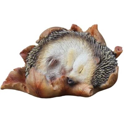 Vivid Arts Baby-Igel im Blatt, sehr detaillierte Dekoration für Haus oder Garten (XRL-HH09-F) Vivid Arts Baby-Igel im Blatt, sehr detaillierte Dekoration für Haus oder Garten (XRL-HH09-F)