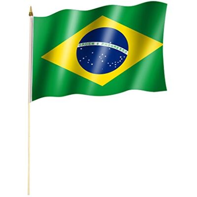 Unbekannt Stockflagge/Stockfahne BRASILIEN Flagge/Fahne ca. 30 x 45 cm mit ca. 60cm Stab/Stock Unbekannt Stockflagge/Stockfahne BRASILIEN Flagge/Fahne ca. 30 x 45 cm mit ca. 60cm Stab/Stock
