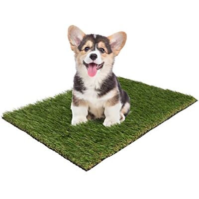 Primaflor - Ideen in Textil Primaflor Ideen in Textil Premium Ersatz-Rasen Kunstrasen für Hundetoilette 43 x 45 cm, Rasenmatte, Ersatzgras, Trainingsunterlage für Hundeklo, Welpentoilette Primaflor - Ideen in Textil Primaflor Ideen in Textil Premium Ersatz-Rasen Kunstrasen für Hundetoilette 43 x 45 cm, Rasenmatte, Ersatzgras, Trainingsunterlage für Hundeklo, Welpentoilette