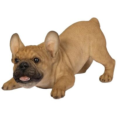 Vivid Arts Aktive Welpen goldene französische Bulldogge Ornament – AP-FRBD-D Vivid Arts Aktive Welpen goldene französische Bulldogge Ornament – AP-FRBD-D