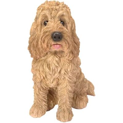 Vivid Arts (Goldener Cockapoo sitzend Vivid Arts (Goldener Cockapoo sitzend