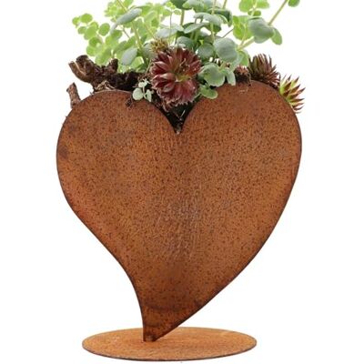Rostikal Pflanzherz aus Edelrost 32 cm – wetterfeste Gartendekoration aus Metall, Deko Herz aus Cortenstahl für Garten, Terrasse & Wohnbereich außen Rostikal Pflanzherz aus Edelrost 32 cm – wetterfeste Gartendekoration aus Metall, Deko Herz aus Cortenstahl für Garten, Terrasse & Wohnbereich außen