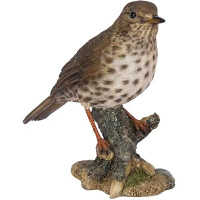 Vivid Arts Garden Birds (Song Thrush) Vivid Arts Garden Birds (Song Thrush)