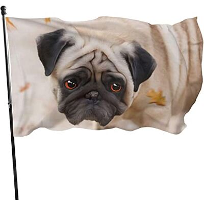 Generic Flagge 150x90cm Outdoor Windward Fahne Lebendiges Farbbanner Gartenflagge Lustiger Mops Dekorative Flagge Polyester Yard Fahne Lustige Große Flagge für Terrasse Rasen Home Decor Generic Flagge 150x90cm Outdoor Windward Fahne Lebendiges Farbbanner Gartenflagge Lustiger Mops Dekorative Flagge Polyester Yard Fahne Lustige Große Flagge für Terrasse Rasen Home Decor
