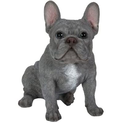 Vivid Arts (Blaue französische Bulldogge sitzend Vivid Arts (Blaue französische Bulldogge sitzend