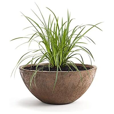 Pflanzwerk ® Pflanzkübel Pflanzschale Bowl Ø 55cm Rost *Frostbeständige Blumenschale* *Premiumqualität* *Lotus-Effekt Imprägnierung* Pflanzwerk ® Pflanzkübel Pflanzschale Bowl Ø 55cm Rost *Frostbeständige Blumenschale* *Premiumqualität* *Lotus-Effekt Imprägnierung*