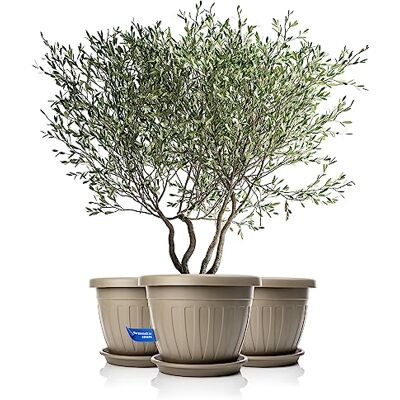 BigDean 3X Blumentopf mit Untersetzer rund ø50xH38 cm Mokka/braun wetterfester Pflanzkübel Wasserablauf UV-beständig aus bruchsicherem Kunststoff Innen + Außen geeignet Made in Europe BigDean 3X Blumentopf mit Untersetzer rund ø50xH38 cm Mokka/braun wetterfester Pflanzkübel Wasserablauf UV-beständig aus bruchsicherem Kunststoff Innen + Außen geeignet Made in Europe