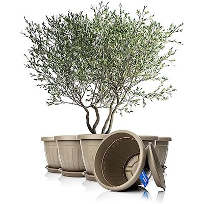 BigDean 6X Blumentopf mit Untersetzer rund ø50xH38 cm Mokka/braun Wetterfester Pflanzkübel Wasserablauf UV-beständig aus bruchsicherem Kunststoff Innen + Außen geeignet Made in Europe BigDean 6X Blumentopf mit Untersetzer rund ø50xH38 cm Mokka/braun Wetterfester Pflanzkübel Wasserablauf UV-beständig aus bruchsicherem Kunststoff Innen + Außen geeignet Made in Europe