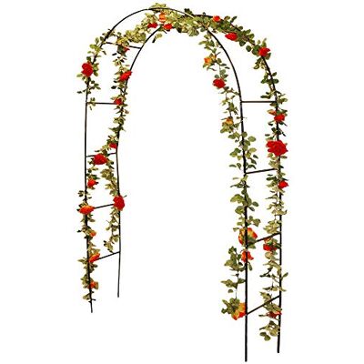 ipae progarden Desconocida Koopman Bogen für Rosen x61250000 ipae progarden Desconocida Koopman Bogen für Rosen x61250000