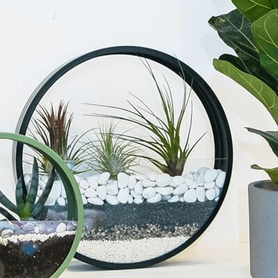 VELLES Steine Kleine Kieselsteine Weiße Dekosteine für Vasen Deko Aquarium Steine Weiß Kiesl zum Basteln Zierkies Gartensteine Gartendeko Weisse Steine Garten Stein Aquarienkies 1,9kg VELLES Steine Kleine Kieselsteine Weiße Dekosteine für Vasen Deko Aquarium Steine Weiß Kiesl zum Basteln Zierkies Gartensteine Gartendeko Weisse Steine Garten Stein Aquarienkies 1,9kg