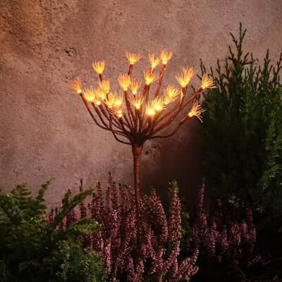 Lights4fun Gartenstecker Pusteblume in Löwenzahnoptik mit 25 warmweißen Mikro-LEDs Solarbetrieb Sonnenenergie Sommer Deko Sternenexplosion für Garten & Beete Höhe 60 cm Lights4fun Gartenstecker Pusteblume in Löwenzahnoptik mit 25 warmweißen Mikro-LEDs Solarbetrieb Sonnenenergie Sommer Deko Sternenexplosion für Garten & Beete Höhe 60 cm