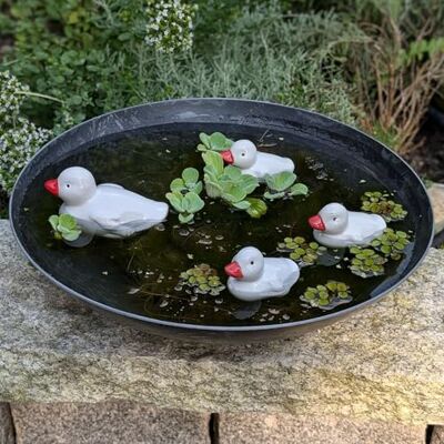 Storm Keramik Entenfamilie Schwimmdeko für Teich Garten Elegante Dekoration weiß für Miniteiche Balkonteiche 35cm graue Kunststoffschale Storm Keramik Entenfamilie Schwimmdeko für Teich Garten Elegante Dekoration weiß für Miniteiche Balkonteiche 35cm graue Kunststoffschale