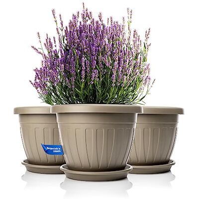 BigDean 3X Blumentopf mit Untersetzer rund ø40xH31 cm Mokka/braun wetterfester Pflanzkübel Wasserablauf UV-beständig aus bruchsicherem Kunststoff Innen + Außen geeignet Made in Europe BigDean 3X Blumentopf mit Untersetzer rund ø40xH31 cm Mokka/braun wetterfester Pflanzkübel Wasserablauf UV-beständig aus bruchsicherem Kunststoff Innen + Außen geeignet Made in Europe