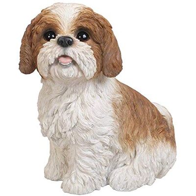 Vivid Arts XRL-SZ12-B Shih Tzu Hund, braun-weiß, sitzend, Kunstharz Gartendeko Vivid Arts XRL-SZ12-B Shih Tzu Hund, braun-weiß, sitzend, Kunstharz Gartendeko