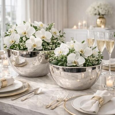 DRULINE 2er-Set Dekoschalen Keramikschale Dekovase Vase Hochzeitsdeko Übertöpfe Silber Blumentopf Silber Blumenvase Pflanzgefäße Pflanztopf Tisch-Deko Blumenschale Pflanzschale oval Vasen Silberschale DRULINE 2er-Set Dekoschalen Keramikschale Dekovase Vase Hochzeitsdeko Übertöpfe Silber Blumentopf Silber Blumenvase Pflanzgefäße Pflanztopf Tisch-Deko Blumenschale Pflanzschale oval Vasen Silberschale