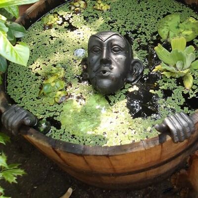Storm Wasserspeier Gargoyle für Miniteich mit Pumpe 230 Volt braun Gold als Wasserspiel für die Gartendeko Storm Wasserspeier Gargoyle für Miniteich mit Pumpe 230 Volt braun Gold als Wasserspiel für die Gartendeko
