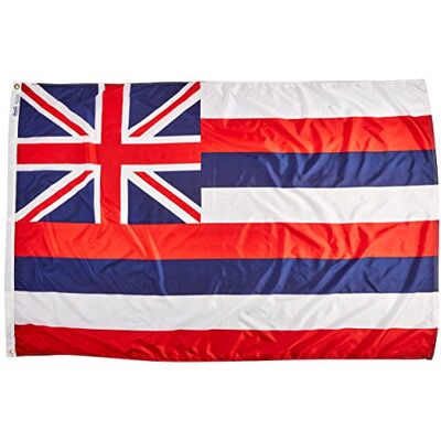 Annin Flagmakers 141270 Staatsflagge, 10,2 x 1,8 m, nicht anwendbar Annin Flagmakers 141270 Staatsflagge, 10,2 x 1,8 m, nicht anwendbar