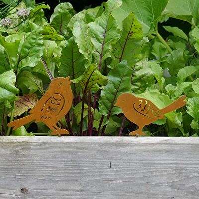 Storm Deko Vogel im 2er Set 10-13cm Edelrost Gartendeko zum Einschrauben Metall Zaunschmuck Storm Deko Vogel im 2er Set 10-13cm Edelrost Gartendeko zum Einschrauben Metall Zaunschmuck