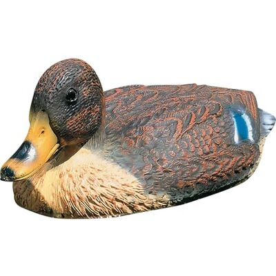 Heissner Schwimmente Stockente Heissner Schwimmente Stockente