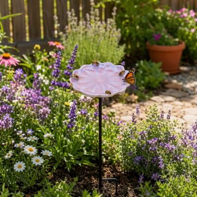 Generic Flache Schüssel Wasserschale Keramik Biene Schmetterling Trinker Gartenstecker, Bestäuberstation, Outdoor-Dekoration, Terrasse, Hof, Schmetterling, Gartenzubehör, Allwetter-Keramik Generic Flache Schüssel Wasserschale Keramik Biene Schmetterling Trinker Gartenstecker, Bestäuberstation, Outdoor-Dekoration, Terrasse, Hof, Schmetterling, Gartenzubehör, Allwetter-Keramik