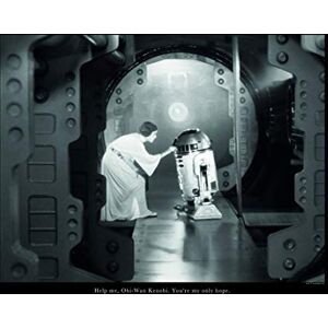 KOMAR Wandbild - Leia R2D2 Zitat - 50x40 cm - Kinderwelten KOMAR Wandbild - Leia R2D2 Zitat - 50x40 cm - Kinderwelten