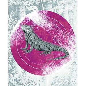 KOMAR Iguana Circle Poster - Tiere - 40x50cm KOMAR Iguana Circle Poster - Tiere - 40x50cm