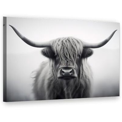Visario Leinwandbild 80x60 cm 4063 Highland Rind in Schwarz-Weiß im Nebel Wandbild fertig aufgespannt auf Holzrahmen Visario Leinwandbild 80x60 cm 4063 Highland Rind in Schwarz-Weiß im Nebel Wandbild fertig aufgespannt auf Holzrahmen