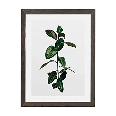 Komar Bilderrahmen Holz Stone Grey mit Art Poster Elastica Leaf als Set Größe: 30x40 cm Wandbild, Dekoration, Pflanze…, bunt Komar Bilderrahmen Holz Stone Grey mit Art Poster Elastica Leaf als Set Größe: 30x40 cm Wandbild, Dekoration, Pflanze…, bunt
