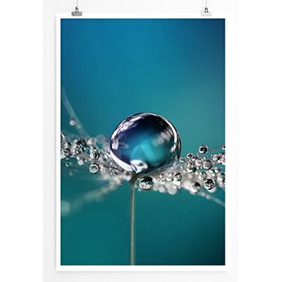 Zone Home Bild Naturbilder – Pusteblumen mit Morgentau- Poster Fotodruck in höchster Qualität Zone Home Bild Naturbilder – Pusteblumen mit Morgentau- Poster Fotodruck in höchster Qualität