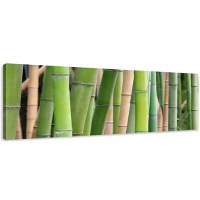 Visario Leinwandbilder 5705 Bild auf Leinwand Bambus, 120 x 40 cm Visario Leinwandbilder 5705 Bild auf Leinwand Bambus, 120 x 40 cm