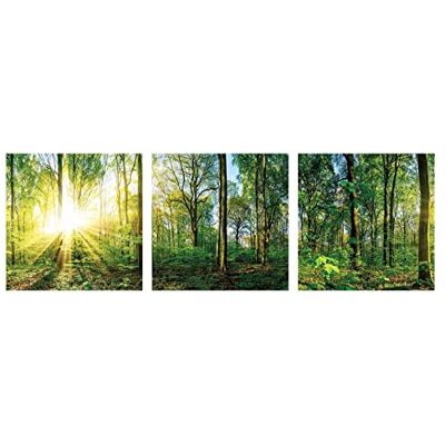 levandeo 3er Set Wandbild je 30x30cm Glasbild Wald Natur Sonne Landschaft Wanddeko Baum Wandobjekt levandeo 3er Set Wandbild je 30x30cm Glasbild Wald Natur Sonne Landschaft Wanddeko Baum Wandobjekt