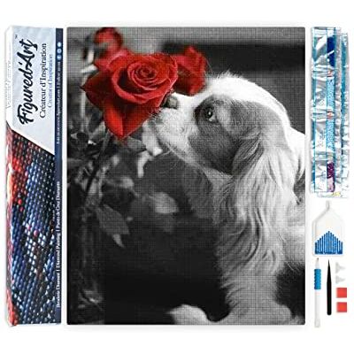 ART Diamond Painting Erwachsene 40x50cm Ganze Leinwand gerollt Hund und Rose 5D Bilder Eckige Steine DIY Set Basteln ART Diamond Painting Erwachsene 40x50cm Ganze Leinwand gerollt Hund und Rose 5D Bilder Eckige Steine DIY Set Basteln