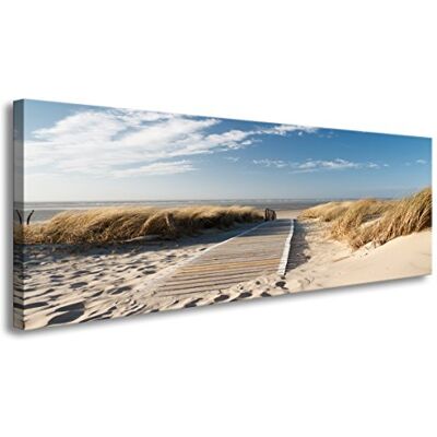 Visario 120 x 40 cm Bild Nordsee Ostsee Schilf Düne 5732 Visario 120 x 40 cm Bild Nordsee Ostsee Schilf Düne 5732