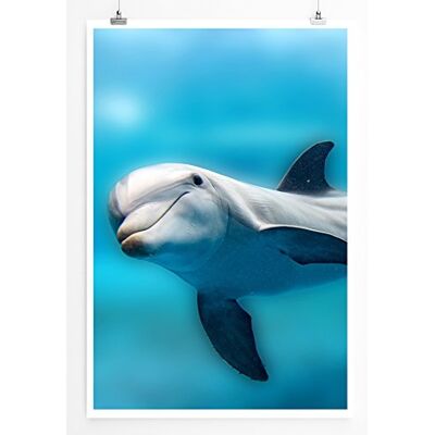 Zone Home Bild Tierbilder – Delfin Poster Fotodruck in höchster Qualität Zone Home Bild Tierbilder – Delfin Poster Fotodruck in höchster Qualität