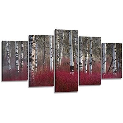 Visario Leinwandbild Birkenwald Rotes Unterholz 200 x 100 cm 5-teilig Direktdruck auf Leinwand mit Holzrahmen Wandbild Kunstdruck XXL Wanddeko für Wohnzimmer Schlafzimmer Artikelnr. 6335 Visario Leinwandbild Birkenwald Rotes Unterholz 200 x 100 cm 5-teilig Direktdruck auf Leinwand mit Holzrahmen Wandbild Kunstdruck XXL Wanddeko für Wohnzimmer Schlafzimmer Artikelnr. 6335