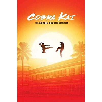 Pyramid Cobra Kai The Karate Kid Saga Continues Unisex Poster Multicolor Pyramid Cobra Kai The Karate Kid Saga Continues Unisex Poster Multicolor