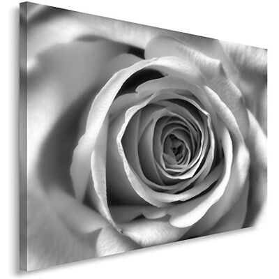 Feeby . Wandbild 1 Teilig 60x80 cm, Leinwand Bild Leinwandbilder Bilder Wandbilder Kunstdruck, ROSE, NATUR, SCHWARZ-WEIß Feeby . Wandbild 1 Teilig 60x80 cm, Leinwand Bild Leinwandbilder Bilder Wandbilder Kunstdruck, ROSE, NATUR, SCHWARZ-WEIß