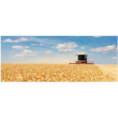 Wallario Poster Erntezeit auf dem Feld in Premiumqualität, Größe: 50 x 125 cm Wallario Poster Erntezeit auf dem Feld in Premiumqualität, Größe: 50 x 125 cm