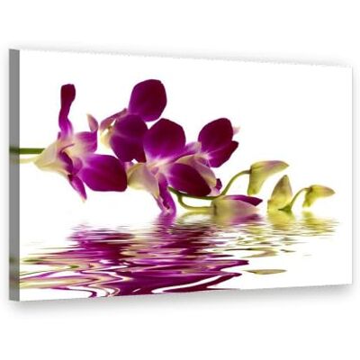 Visario Leinwandbild 80x60 cm 4132 Orchidee mit Wasserspiegelung, Pink auf Weiß Wandbild fertig aufgespannt auf Holzrahmen Visario Leinwandbild 80x60 cm 4132 Orchidee mit Wasserspiegelung, Pink auf Weiß Wandbild fertig aufgespannt auf Holzrahmen