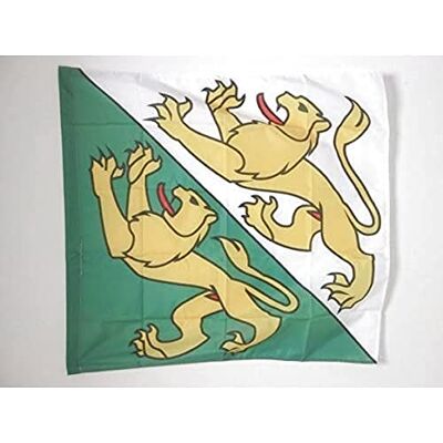 AZ FLAG Flagge Kanton Thurgau 90x90 cm Kanton TG Polyester 100D Hohlsaum Für innen und außen dekorative Flagge doppelte Nähte und verstärkte Kanten mit Masttunnel 100D Polyester AZ FLAG Flagge Kanton Thurgau 90x90 cm Kanton TG Polyester 100D Hohlsaum Für innen und außen dekorative Flagge doppelte Nähte und verstärkte Kanten mit Masttunnel 100D Polyester