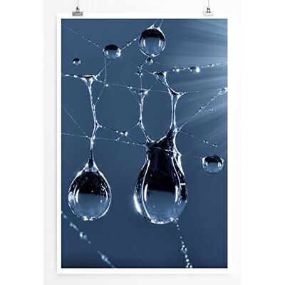 Zone Home Bild Naturbilder – Tautropfen im Spinnennetz- Poster Fotodruck in höchster Qualität Zone Home Bild Naturbilder – Tautropfen im Spinnennetz- Poster Fotodruck in höchster Qualität