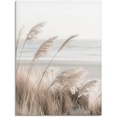 ARTLAND Wanddeko Leinwand Bilder Wandbild Pflanzen natural elements Gräser Pampasgras Strand Boho Deko U5GO ARTLAND Wanddeko Leinwand Bilder Wandbild Pflanzen natural elements Gräser Pampasgras Strand Boho Deko U5GO
