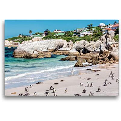 CALVENDO Premium Textil-Leinwand 45 x 30 cm Quer-Format Boulders Beach Wandbild, HD-Bild auf Keilrahmen, Fertigbild auf hochwertigem Vlies, Leinwanddruck von Stefan Becker CALVENDO Premium Textil-Leinwand 45 x 30 cm Quer-Format Boulders Beach Wandbild, HD-Bild auf Keilrahmen, Fertigbild auf hochwertigem Vlies, Leinwanddruck von Stefan Becker