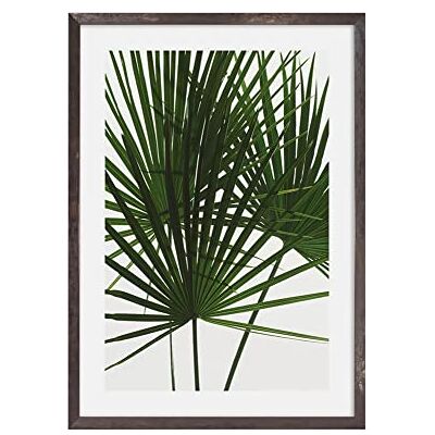 Komar Bilderrahmen Holz Stone Grey mit Art Poster Palmtree Leaves als Set Größe: 50x70 cm Wandbild, Dekoration, Palme, Blätter… Komar Bilderrahmen Holz Stone Grey mit Art Poster Palmtree Leaves als Set Größe: 50x70 cm Wandbild, Dekoration, Palme, Blätter…